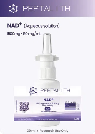 NAD+ (Nicotinamide Adenine Dinucleotide)